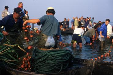 Iconographie - Fête des Pêcheurs en août 1996