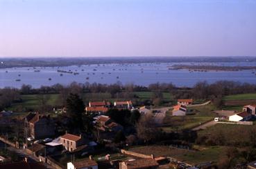 Iconographie - Le lac de Grand-Lieu vu du clocher en mars