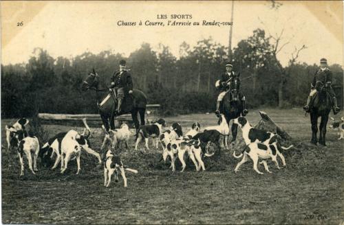 Iconographie - Les sports - Chasse à courre, l'arrivée au rendez-vous