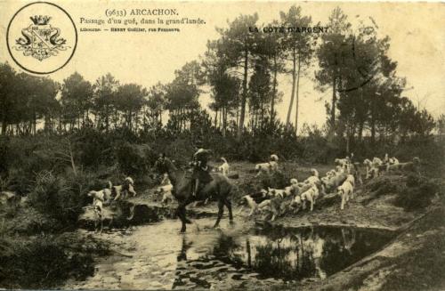 Iconographie - ARCACHON - Passage d'un gué, dans la grand'lande