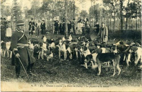 Iconographie - Chasse à courre à la Forêt de Cerisy - Le Piqueur et la meute