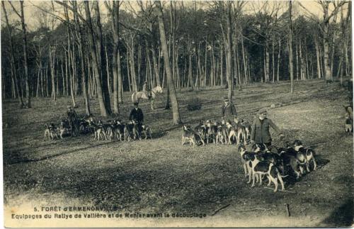 Iconographie - FORÊT D'ERMENONVILLE -Equipages du Rallye de Vallière et de Menier