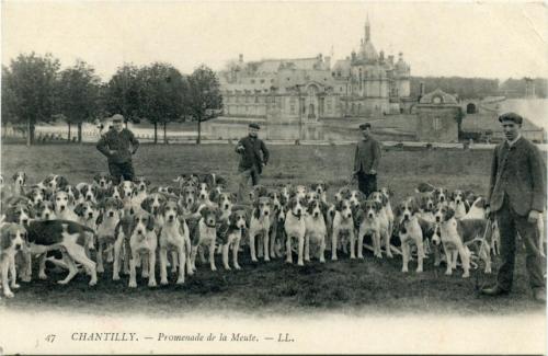 Iconographie - CHANTILLY - Promenade de la Meute