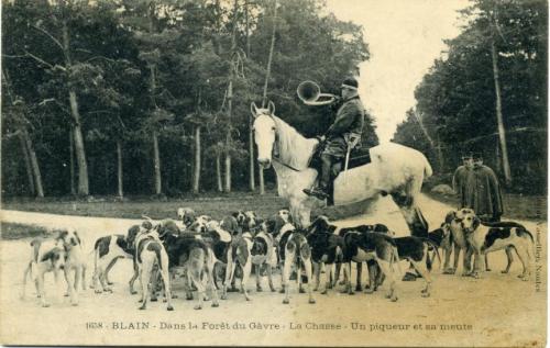 Iconographie - BLAIN  -Dans la Forêt du Gâvre - La Chasse