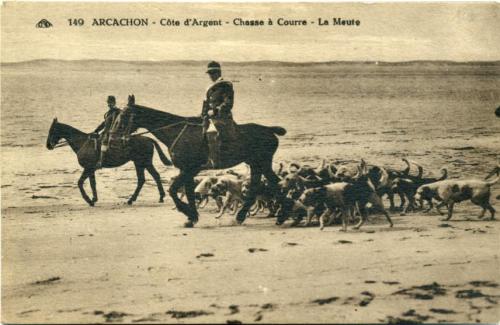 Iconographie - ARCACHON COTE D'ARGENT- Chasse à courre - la Meute