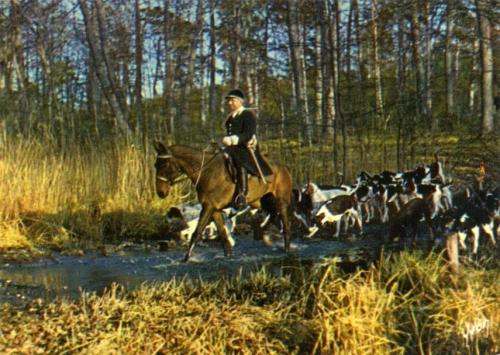 Iconographie - DANS LES FORETS DE France - Hubert Colladanrt, Piqueux du Rallye Ardillères