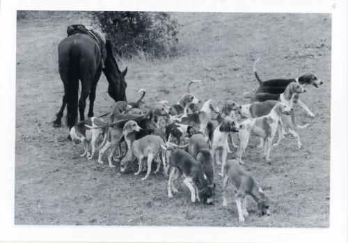 Iconographie - Fête de la Trompe du chien et de la chasse à Saint-Béat 18 et 19 juillet 2003