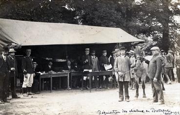 Iconographie - Réquisition de chevaux en Bretagne