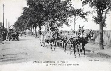 Iconographie - L'armée américaine en France - Cortège attelage de quatre milets