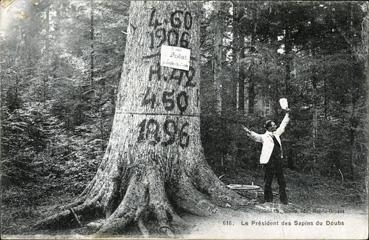 Iconographie - Le Président des sapins du Doubs