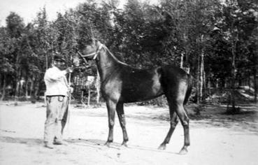 Iconographie - Cheval d'ordonnance de Jean Tesson