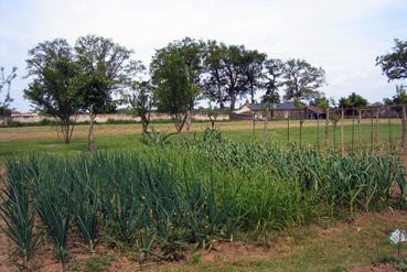 Iconographie - Château du Breuil - Le jardin potager