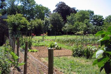 Iconographie - Château du Breuil - Le jardin potager