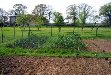 Iconographie - Château du Breuil - Le jardin potager