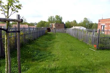 Iconographie - Coulée verte près de la passerelle sur la Boulogne