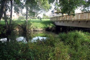 Iconographie - La passerelle sur la Boulogne