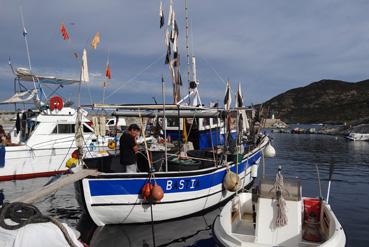 Iconographie - Barque de pêche au port