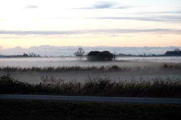 Iconographie - Le marais dans la brume en novembre