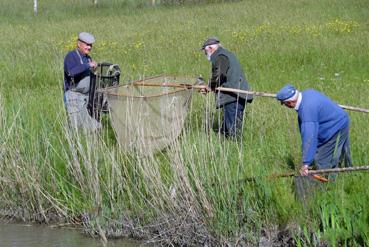 Iconographie - Pêcheurs d'anguilles à la treille