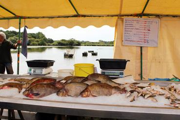 Iconographie - Fête des pêcheurs à Passay - Vente du poisson