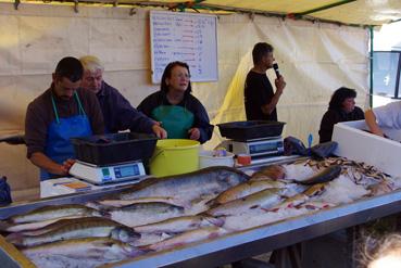 Iconographie - Fête des pêcheurs à Passay - Vente du poisson