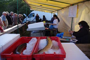 Iconographie - Fête des pêcheurs à Passay - Vente du poisson