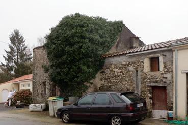 Iconographie - Maison ancienne au 13 rue de L'Halbrandière