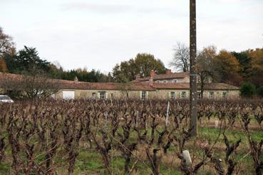 Iconographie - Vigne d'Henri de Cayeux