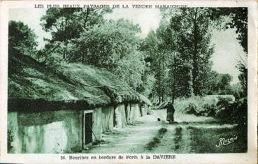 Iconographie - Bourines en bordure de forêt, à la Davière