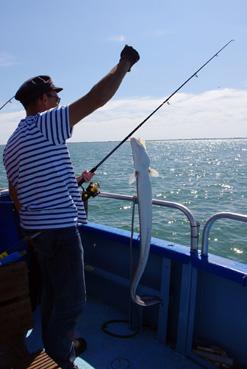 Iconographie - Pêche en mer au congre avec Sandy Pottier