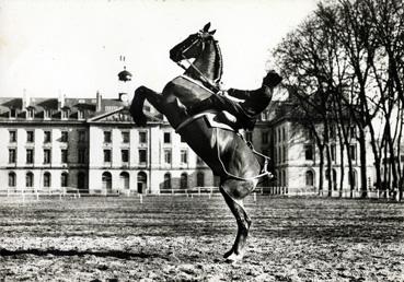 Iconographie - Ecole de Cavalerie - Courbette