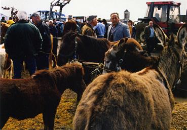 Iconographie - Foire aux chevaux et aux ânes