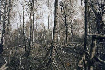 Iconographie - Soldats allemands au Bois de la Mine