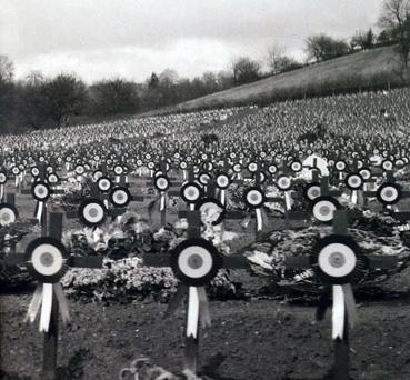 Iconographie - Champ de corcardes sur les tombes des soldats morts pour la France