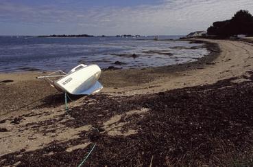 Iconographie - Golfe du Morbihan