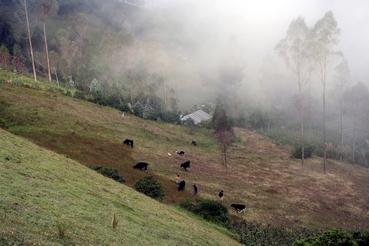 Iconographie - Equateur