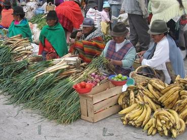 Iconographie - Marché