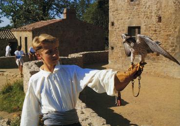 Iconographie - Le Grand parcours du Puy du Fou - Présentation de faucon