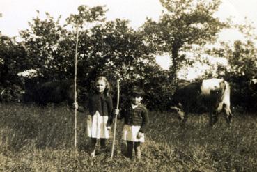 Iconographie - Jean Cossais et Madeleine Couraud gardant la vache