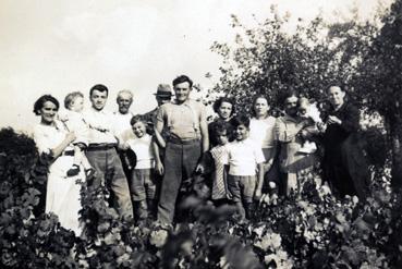 Iconographie - Les vendanges chez les Couraud