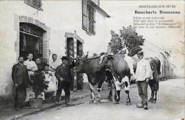 Iconographie - Boucherie Bousseau