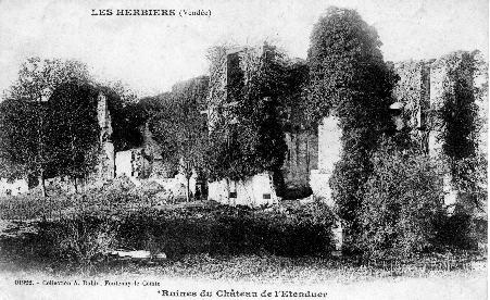 Iconographie - Ruines du château de l'Etenduère