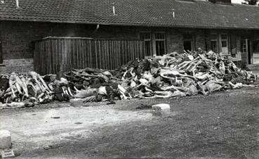 Iconographie - Soldats français découvrant les cadavres d'un camp