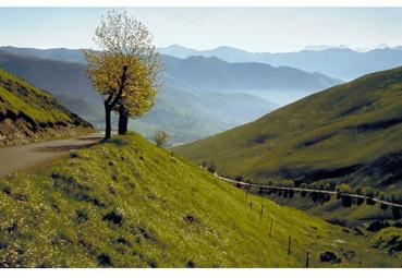 Iconographie - Route de montagne