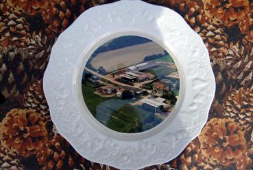 Iconographie - Assiette avec la vue aérienne de la métairie Renaud