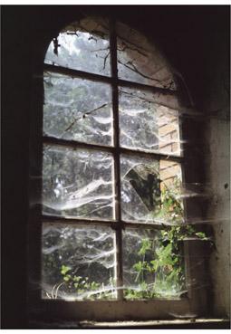 Iconographie - La vieille fenêtre