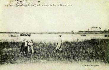 Iconographie - Les bords du lac de Grand-Lieu