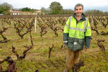 Iconographie - Henri de Cayeux taillant sa vigne