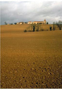 Iconographie - Terre fertile