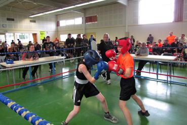 Iconographie - BEA Mixte  - Boxe éducative d'assaut